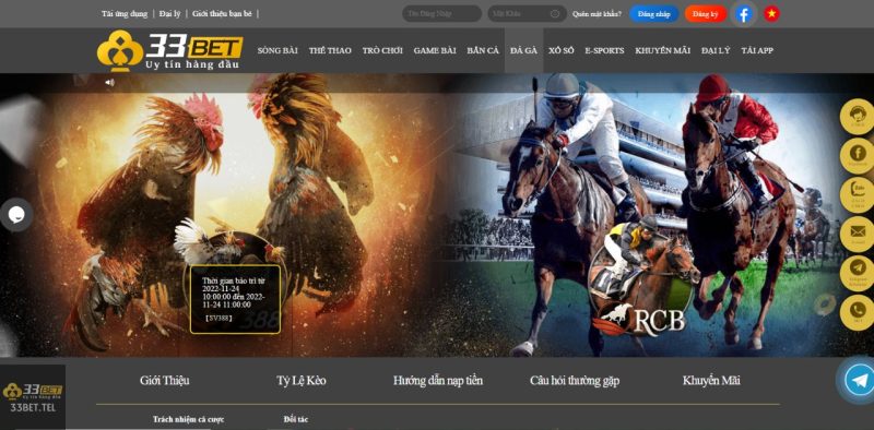 CÁC BƯỚC THAM GIA CÁ CƯỢC ĐÁ GÀ TRỰC TUYẾN ĐƠN GIẢN