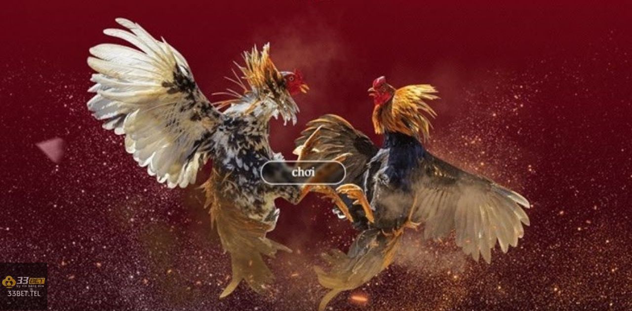 33BET - 33BET CASINO - NHÀ CÁI 33BET NGƯỜI CHƠI NẮM BẮT NGUYÊN TẮC ĐẶT CƯỢC TẠI NHÀ CÁI